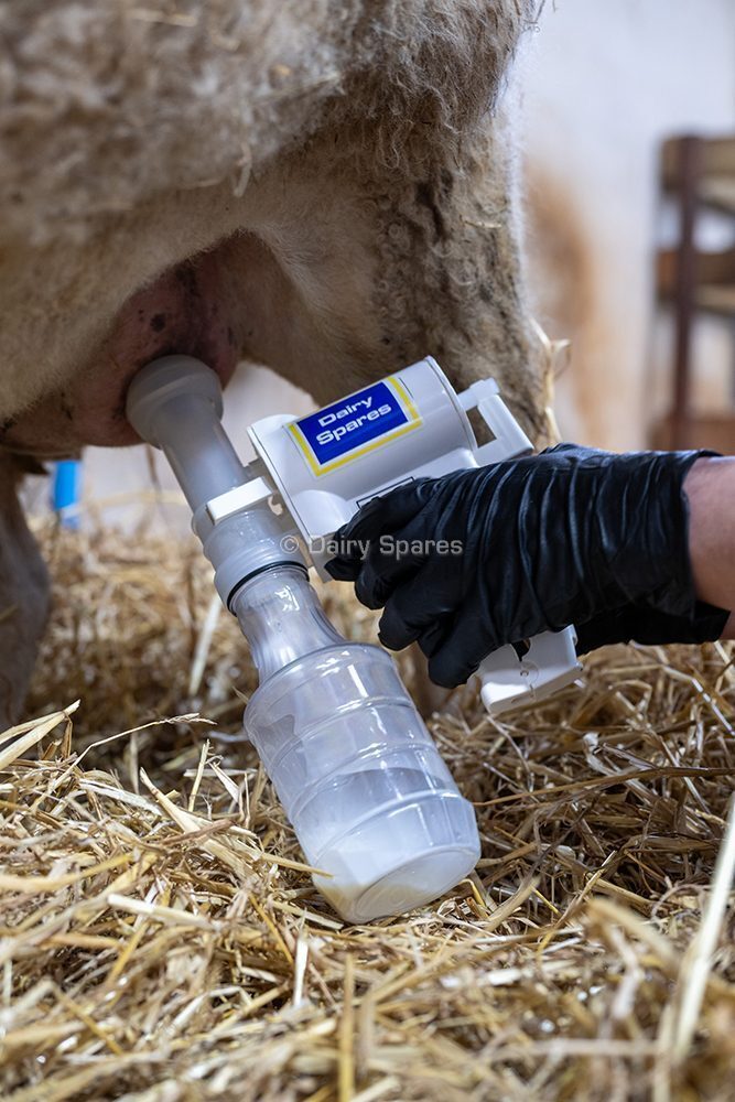 Piena atslaucējs aitām un kazām