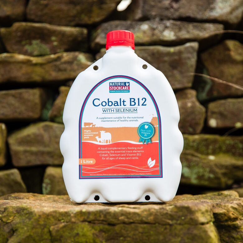 Kobalts B12 un selēns jēriem un aitām 1litrs