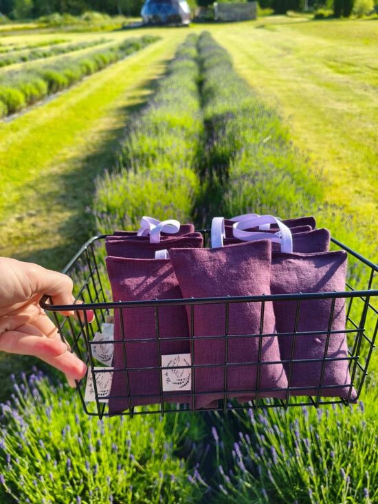 Lavandas smaržu maisiņš