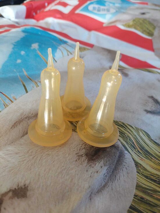 Knupīts jēru barošanas pudelītei