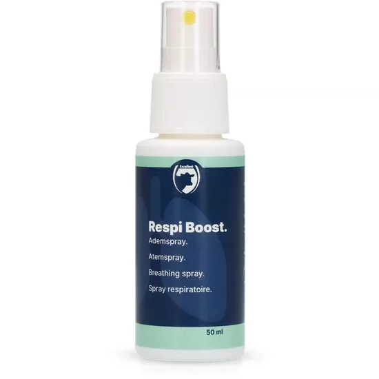 Excellent Respi Boost - elpošanas aerosols
